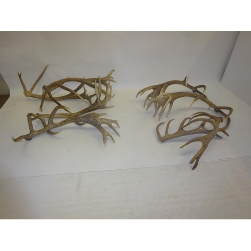 9 - A quantity of antlers.