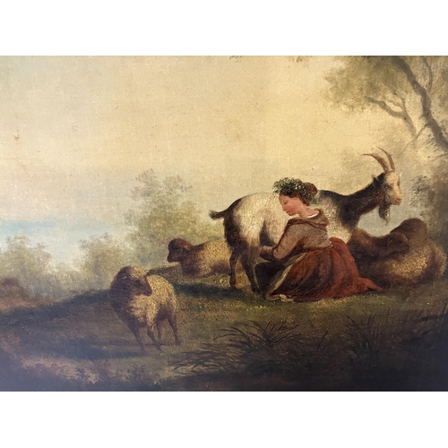 114 - A 19th century painting, 
Girl in wooded landscape milking a goat surrounded by sheep,
Oil on canvas... 