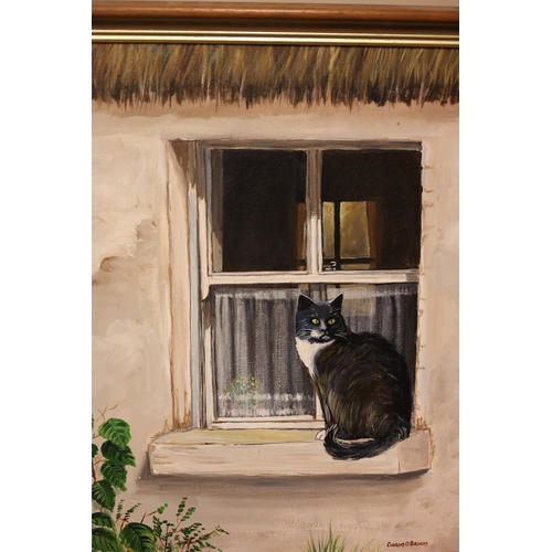 276 - Ciaran O'Briain,
Cat on window sill,
Oil on canvas,
Signed,
60cm x 50cm.