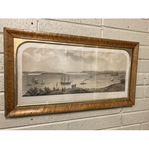 1 - Cork interest, Robert L. Stopford - A large 19th century engraving, Cork Harbour from Spy Hill in or... 