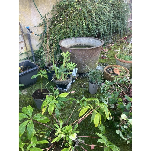 221 - Large old cast iron famine pot. Diameter 88cm, H. 54cm.