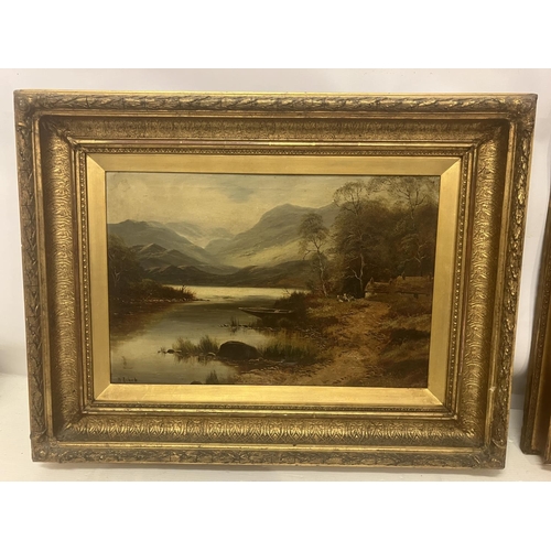 239 - W. Richards - A pair of 19th century lake and mountain landscapes, 
Oil on canvas,
Signed,
Housed in... 