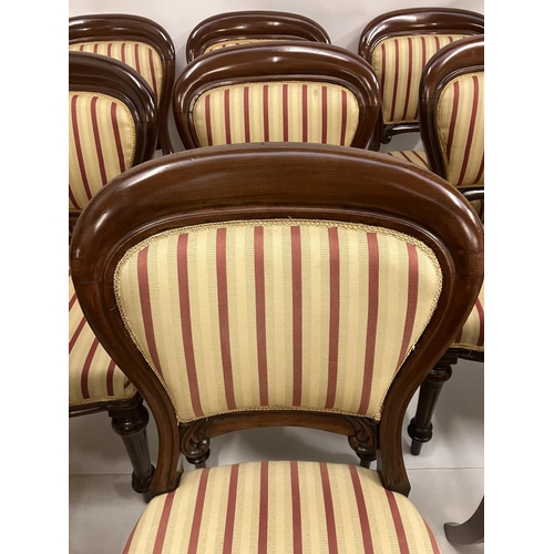 254 - A good set of 12 19th century mahogany dining chairs, nicely upholstered.