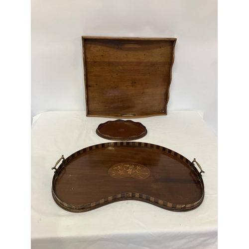 36 - Mahogany butlers tray, kidney shaped tray and small oval shaped tray. (3)