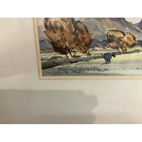 378 - Sean O'Connor 1909-1992,
Dunloe Mountains from Grenagh,
Watercolour,
Signed,
32cm x 46cm.