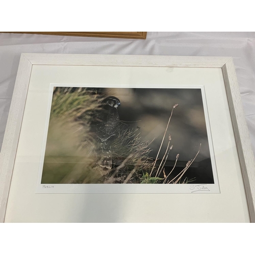 391 - A group of 3 pictures. Watercolour of Youghal lighthouse, a photo of Merlin and an oil Winter landsc... 