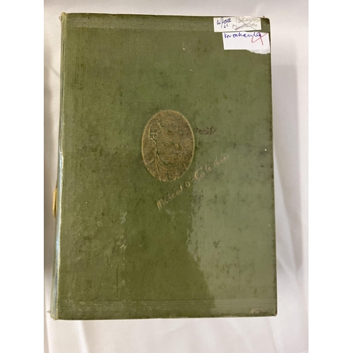 107 - Michael Collins and the Making of a New Ireland by Piaras Beaslai, Vols. I & II, 1926.