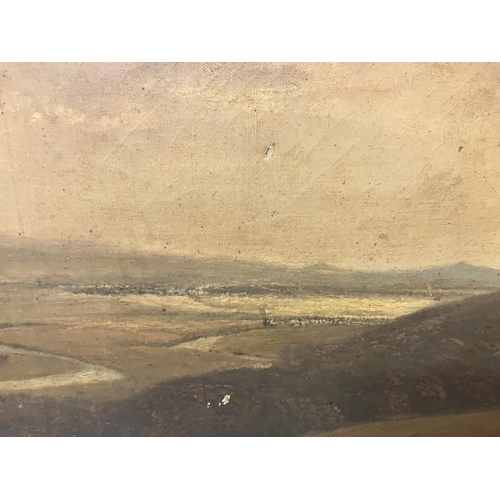 255 - Cork scene - A large painting of a house overlooking an estuary, oil on canvas with gilt frame and a... 