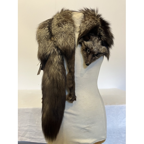 119 - A silver fox pelt.
