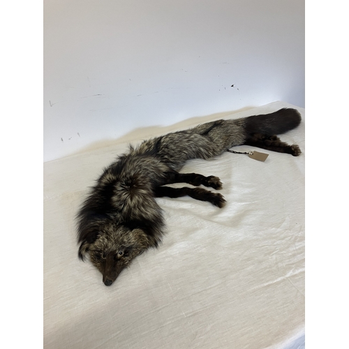 119 - A silver fox pelt.