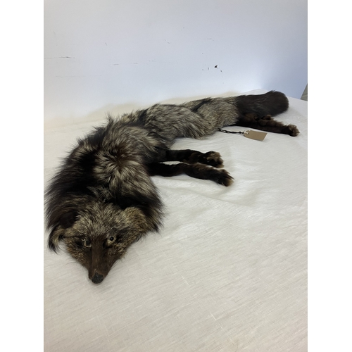 119 - A silver fox pelt.