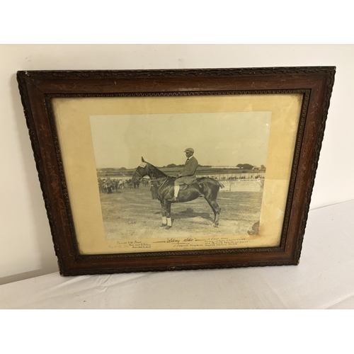 Lot 5         