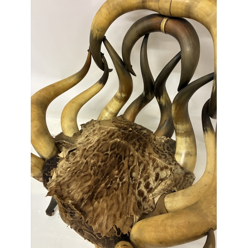 Wenzel Friedrich 1827-1902 - A rare long horn chair in original condition.