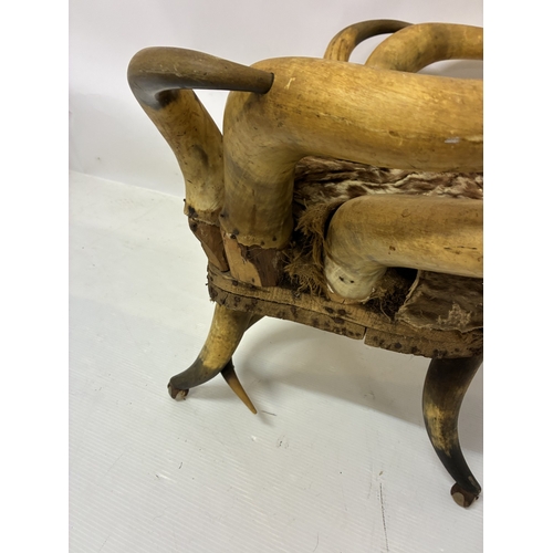 Wenzel Friedrich 1827-1902 - A rare long horn chair in original condition.