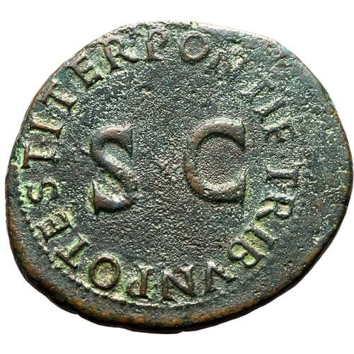 24 - About Good Very Fine; a striking portrait of Drusus | ROMAN EMPIRE. Drusus (son of Tiberius, Caesar)... 