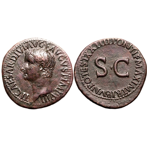 17 - About Extremely Fine; minor cleaning marks, a striking portrait | ROMAN EMPIRE. Tiberius. Bronze as,... 