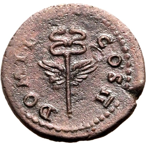 95 - Good Very Fine | ROMAN EMPIRE. Domitian (Caesar). Bronze quadrans, AD 74. Rome. Struck for circulati... 