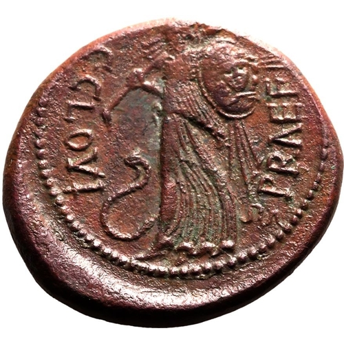 3 - ROMAN REPUBLIC & IMPERATORIAL. Julius Caesar. Bronze dupondius, 45 BC. Rome(?). Issued by C. Clovius... 