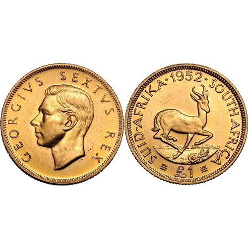 113 - SOUTH AFRICA. Gold one pound, 1952. Pretoria. George VI. Portrait of King George VI, GEORGIVS SEXTVS... 