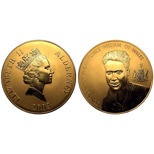 75 - UNITED KINGDOM. ALDERNEY. Elizabeth II, 1952-2022. Gold 1000 Pounds, 2003. Royal Mint. Proof. Create... 
