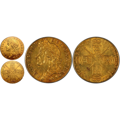 15 - MS62  | ENGLAND. James II, 1685-88. Gold Guinea, 1688. Elephant & Castle. Rarely encountered in ... 