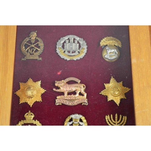 30 - Two framed sets of cap badges.