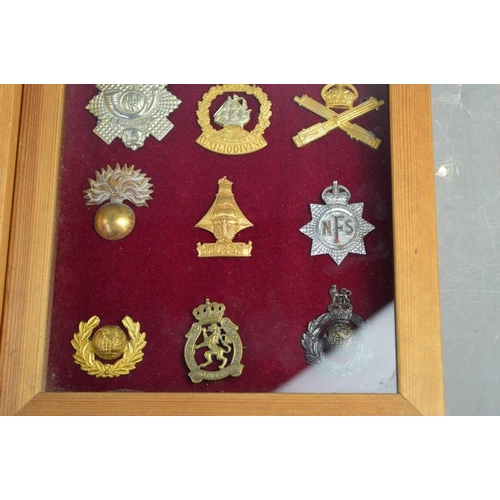 30 - Two framed sets of cap badges.