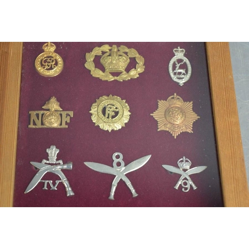 30 - Two framed sets of cap badges.