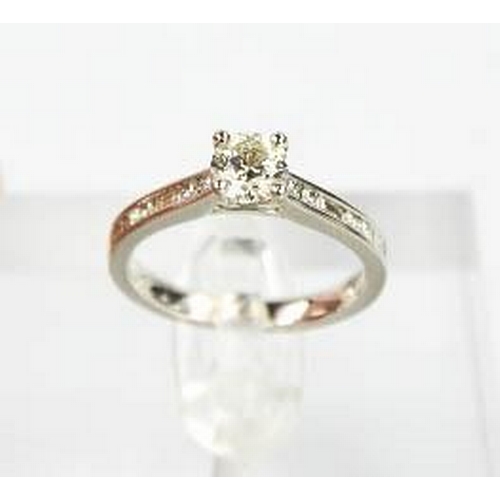 105 - A platinum and diamond ring, the central diamond approximately 0.7ct, bordered by 0.25ct diamonds in... 