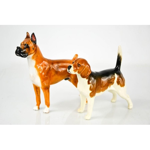 153 - A Beswick Wendover Billy and Boxer dog labelled Warlord of Meselaine, 16cm high.