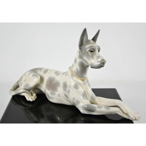 76 - A Lladro porcelain great dane, 30cm long.