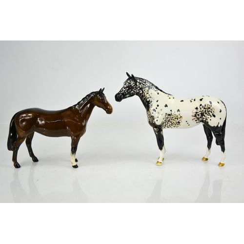 144 - Two Beswick porcelain horses: an Appaloosa Stallion and a brown example.