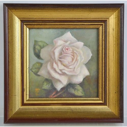 491 - Clare Fadelle (20th century): Rose Memoriam, oil on board, 10 by 10cm.