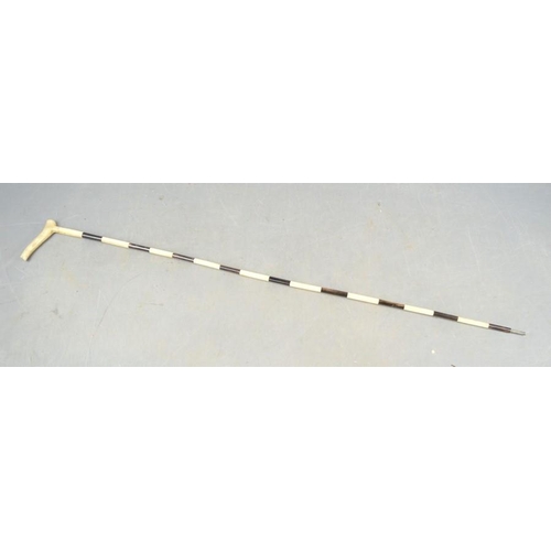 492 - A bone walking cane with intermittent stained segments, circa 1900