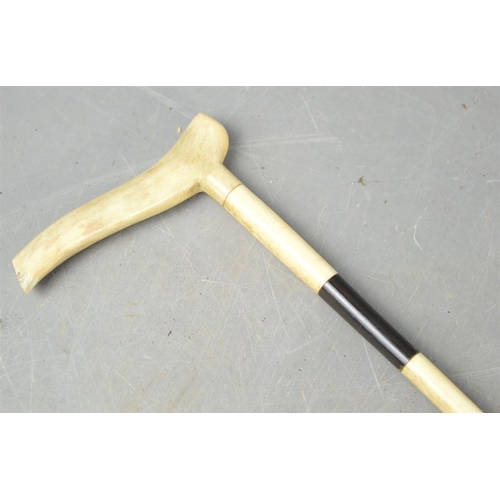 492 - A bone walking cane with intermittent stained segments, circa 1900