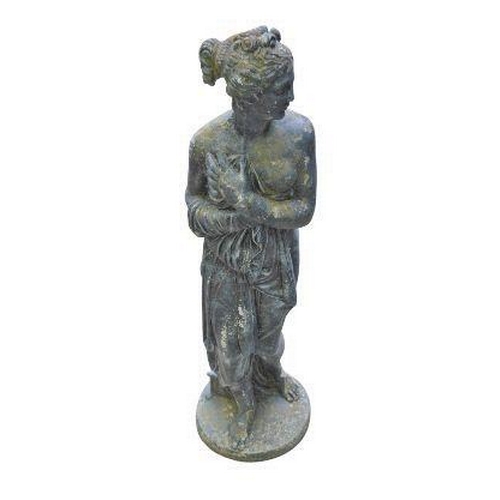 Lot 556       