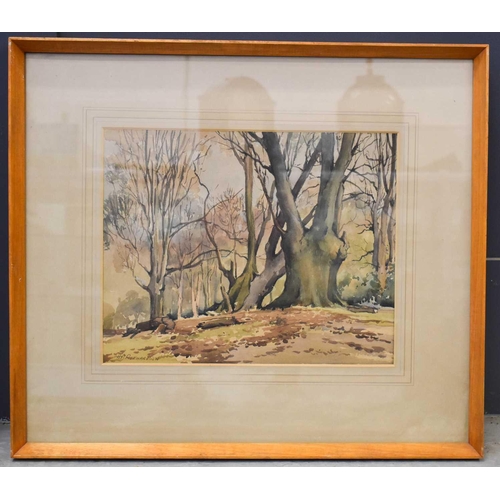 408 - A watercolour on paper, woodland landscape.