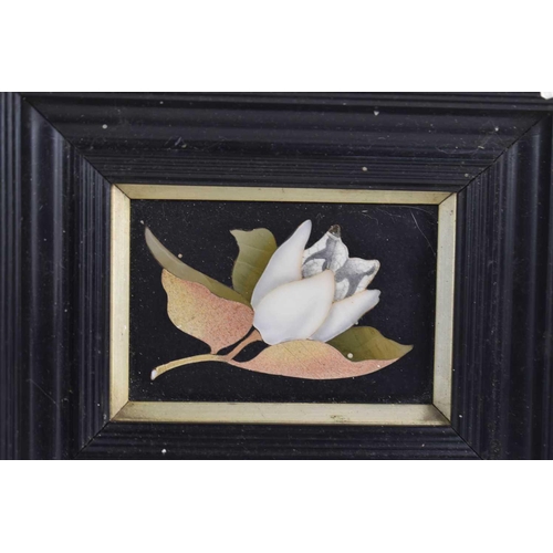 216 - An antique Pietra Dura plaque depicting white tulip, in an ebonised frame, together with a similar p... 