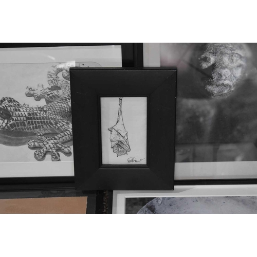 430 - A group of contemporary art, to include pencil sketch depicting a gecko, a signed lithograph of a ba... 