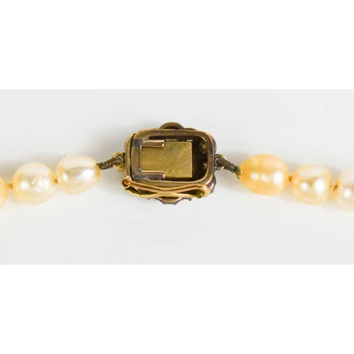 12 - A Georgian pearl necklace, with a gold (tested as 14ct) clasp set with a central emerald bordered by... 