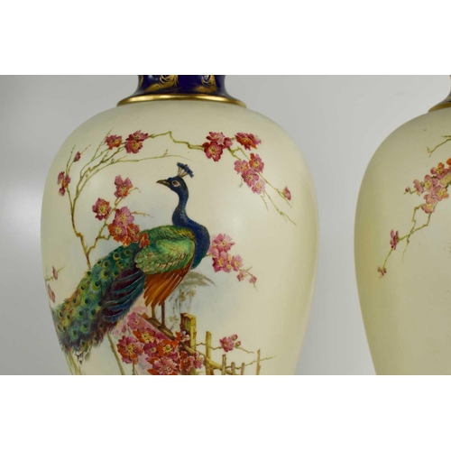 125 - A pair of Royal Worcester vase and covers, painted with peacocks on an ivory ground, the peacocks in... 