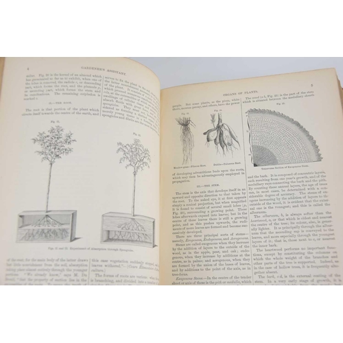 421 - The Gardener's Assistant: by Robert Thompson, revised and extended by Thomas Moore, illustrated by n... 