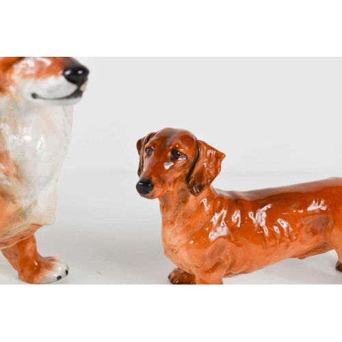 180 - Two Royal Doulton dog figurines comprising a Pembrokeshire Corgi, Spring Robin, HN2557, and a Daschu... 