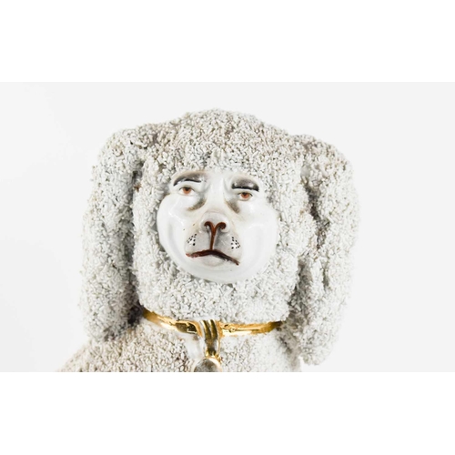 88 - A 19th century porcelain figure of a poodle, with applied confetti fur, and gilded collar and tag, p... 