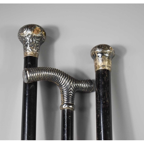 226 - Three antique ebonised walking canes, two with silver pommel caps, and the other with a silver clad ... 