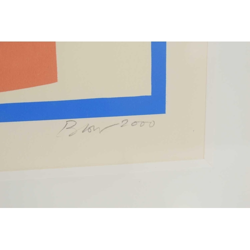 108 - Sandra Blow (1925-2006): An abstract design limited edition screenprint, 15/100, signed and numbered... 