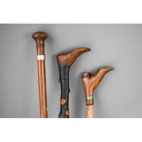 241 - A group of three walking sticks, comprising a bamboo cane with shoe form handle, a blackened cabbage... 