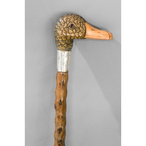 339 - An antique walking cane, with silver collar engraved with initials beneath a treen carved duck head ... 