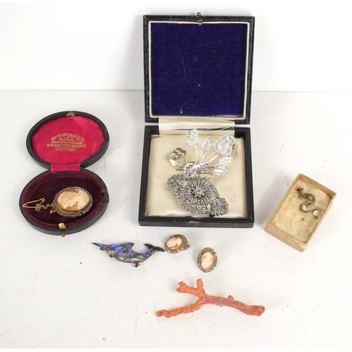 76 - A group of vintage jewellery to include a cameo brooch, abalone marlin brooch, coral form brooch, ca... 