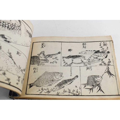 244 - A Chinese book, circa 1900, printed to depict various animals.